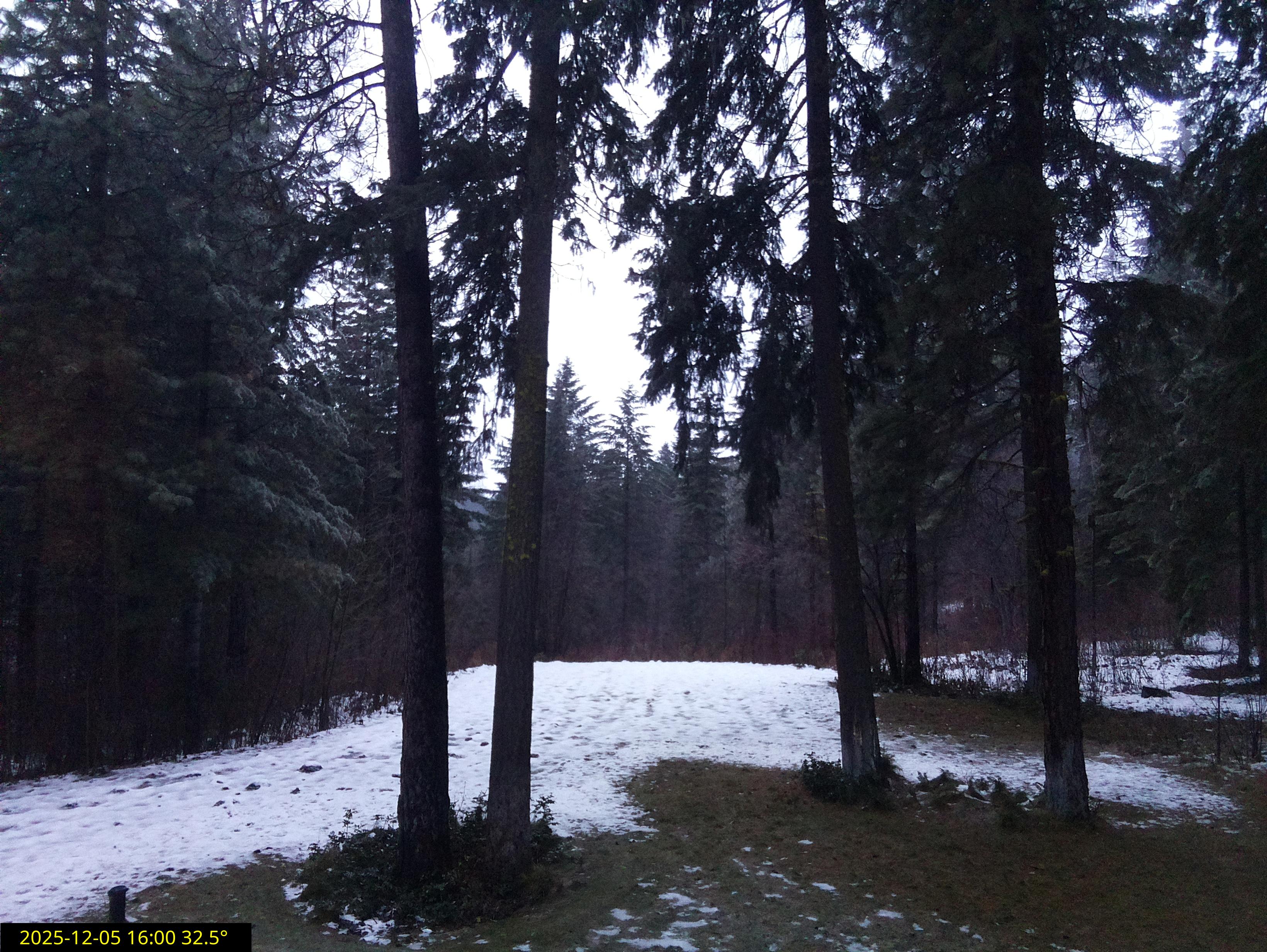 Penstemon kitchen view (facing west)